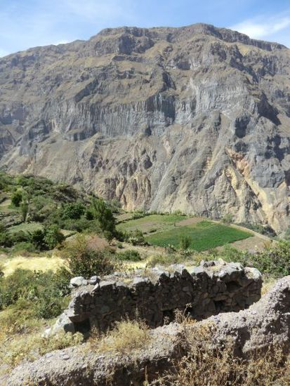 ein Landschaftsbild - im Stil des 1000jährigen Terrassenbaus - sagt mehr als 1000 Worte