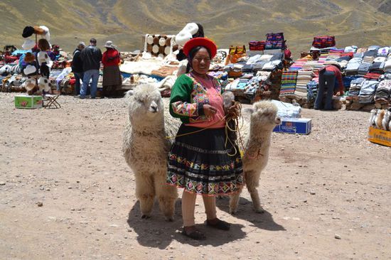 Jede Station empfängt uns mit einem kleinen Markt.
Die "Lomo Saltados" bzw. Alpacas haben wir dann doch nicht mitgenommen.