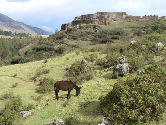 Etwas näher an Cusco gelegen, fast gegenüber der Bade-Anstalt, liegt diese Festung, in der früher die Bediensteten der badenden Oberschicht Unterschlupf fanden.