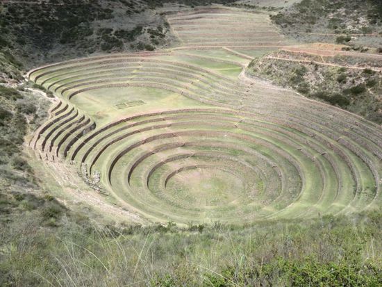... weit größer als am Foto ersichtlich !