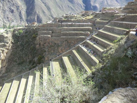 Die zentrale Terassen-Anlage.