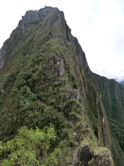jetzt folgt der auftieg zum wayna picchu. dieser ist der höhere von zwei "erhebungen" südlich der stadt. er garantiert einen eimaligen blick von oben !