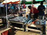 Fischmarkt
