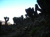 Landschaft kurz vor dem Baranco campsite