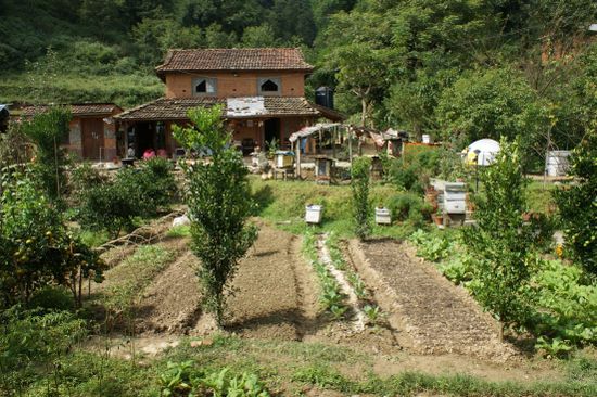 Das Farmhaus mit Garten hinter dem Landhaus