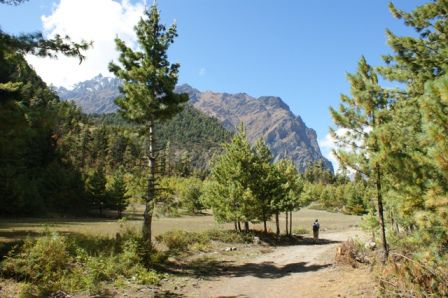 Nein, das ist kein Bild vom Loetschental. Das ist im Tal von Pisang. Ploetzlich oeffnete sich das Tal vor uns, war es wieder flach und nicht mehr so eng.
So nebenbei: Die Berge auf dem Bild sind keine eigentlichen Berge, denn in Nepal werden angeblich nur die Gipfel als Berge bezeichnet, die das ganze Jahr ueber mit Schnee bedeckt sind. Da kam mir (Beat) doch sofort der Uetliberg und der Zugerberg in den Sinn. Dabei konnte ich mir ein Schmunzeln nicht verkneifen.