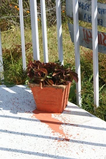 Wenn der Topf gemalt werden soll, wird der Boden eben auch etwas farbiger. Oder wie wuerdest du das machen?