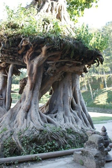 Der kleine Naturtempel von aussen