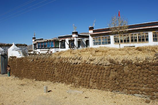Unterwegs nach Shigatse:
Kuhfladen-Tocknungsanlage
Bestes Brennmaterial und wie wir spaeter selber miterlebten fast
(im Ernst: nur etwas rauchig!) geruchfrei.