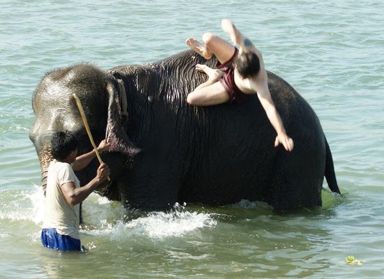 ...es dann so richtig wacklig wird.