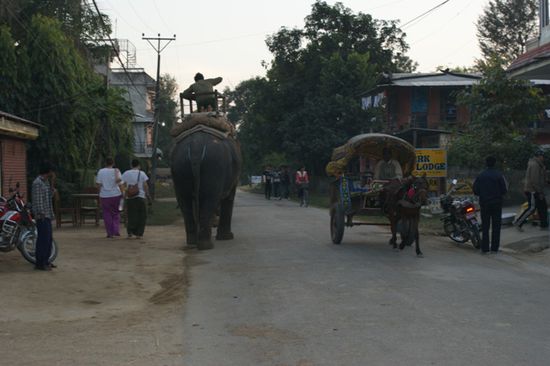 Ein etwas wehmuetiger Blick zurueck nach Sauraha.