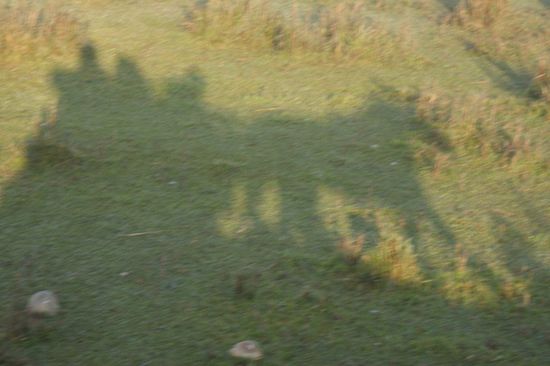 Der Schatten unseres Rosskarren.