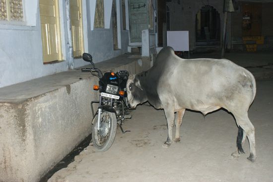 Mal knuddeln mit einem Motorrad...