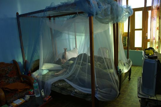 Unser Hotelzimmer.
Wieder einmal waren wir froh um unser Moskitonetz - diesmal mehr wegen den vielen Fliegen, als wegen den Muecken.