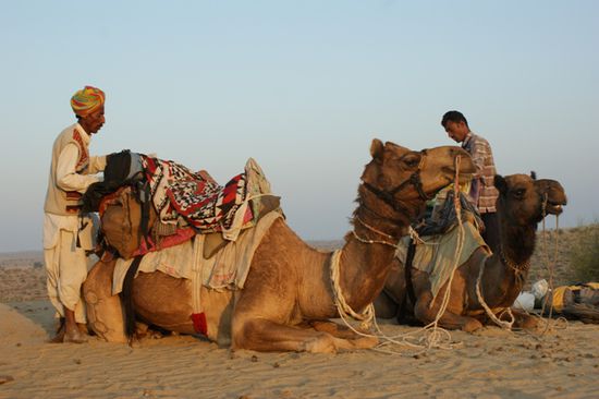 Bei untergehender Sonne auf einer Sandduene zu sein, ist wunderschoen. Von links nach rechts: Veersingh, Gadu (Kamel von Esthi), Wigram und Sajia (Kamel von mir)