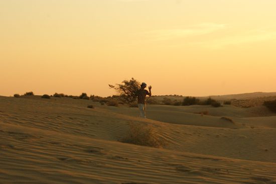 Holzsammeln in der Abenddaemmerung.