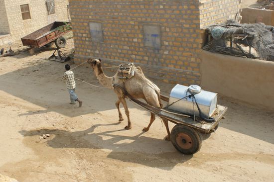 Die Wassertaenke der Hotels und Gaestehaeuser wurden durch diesen Wassertransport aufgefuellt.