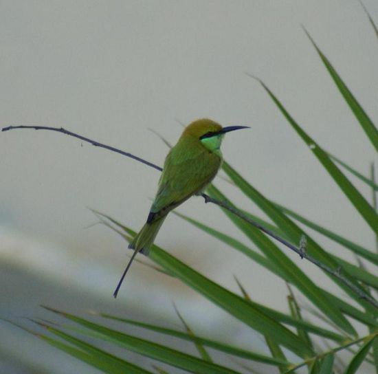 Unterwegs entdecken sie kleine und...