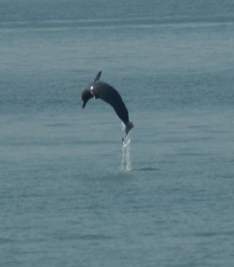 Unbeschreiblich ist dieser Anblick.