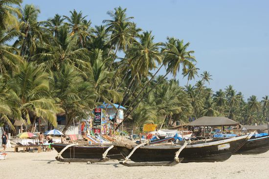 Die Palmen von Palolem.