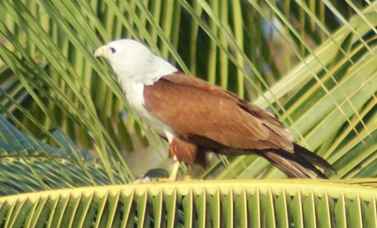 Entdeckung bei einem Spaziergang