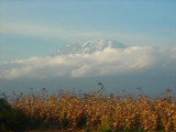 Erste Sicht auf den Kili (Fahrt nach Arusha)