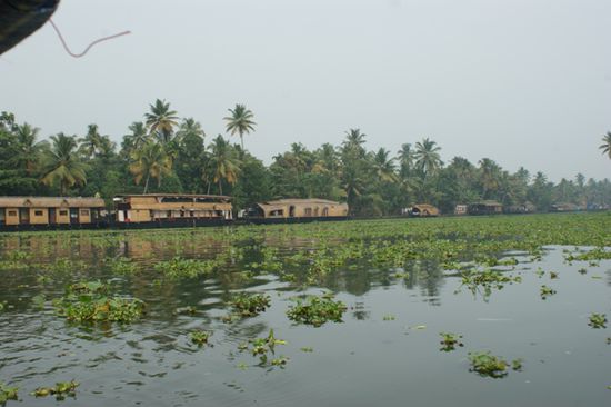 Alleppey ist einer der Hauptausgangsorte fuer Hausboottouren in den Backwaters von Kerala. Dementsprechend viele und teilweise unglaublich grosse und luxerioese Boote gab es unterwegs zu sehen.