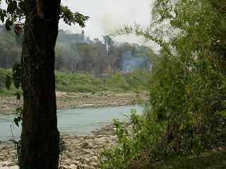 Brandrodungen in Guatemala (andere Flussseite)