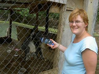 Nicole und die wilden Affen