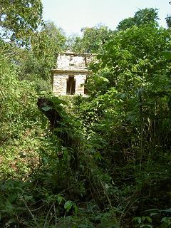 Eine von uns entdeckte Ruine