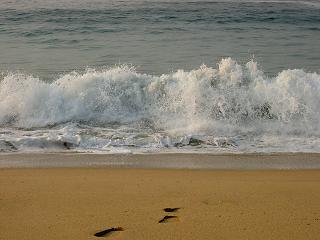 Die Wellen am Strand von Mazunte, jaja, werdet ruhig neidisch