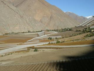 Das Elqui-Tal mit dem Wein