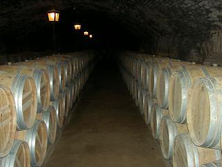 Und die haben noch viel mehr leckeren Wein