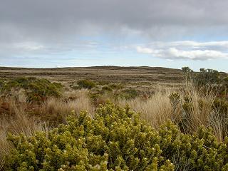 Die weite karge Landschaft ist kaum mit der Kamera zu erfassen.