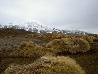Vor uns der beruehmte Mt. Ruhapehu (an den Zacken rechts zu erkennen). Davor oedes graues und sehr steiniges Land.