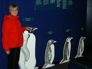 Mit 25 ist Nicole eindeutig groesser als die Pinguine