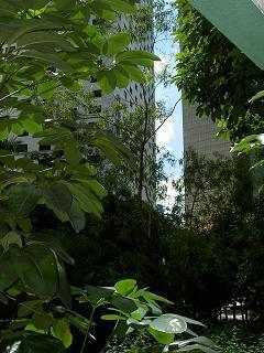 Gruenes HongKong