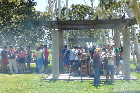 An den Grillplätzen wurde anschließend um die Burger gekämpft. Ok, Burger gab es genug aber im Laufe der Zeit ging der Salat aus, so dass man sich mit Zwiebeln und Tomaten behelfen musste. Nach 3 Burgern war dann aber bei mir Schluss ... mehr war nicht zu schaffen.
