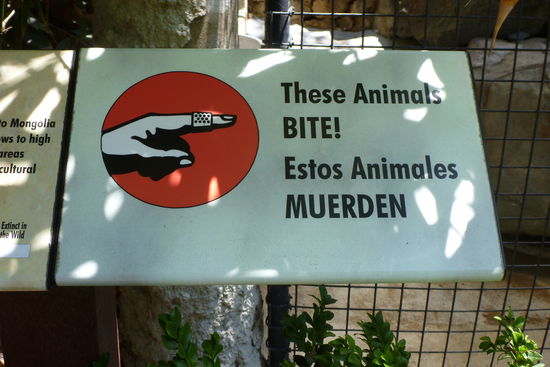 Das Schild war vor dem Jaguarkäfig. Hätte ja zu gern mal ausprobiert ob ein Pflaster für die Wundversorgung ausreichend gewesen wäre ;o)