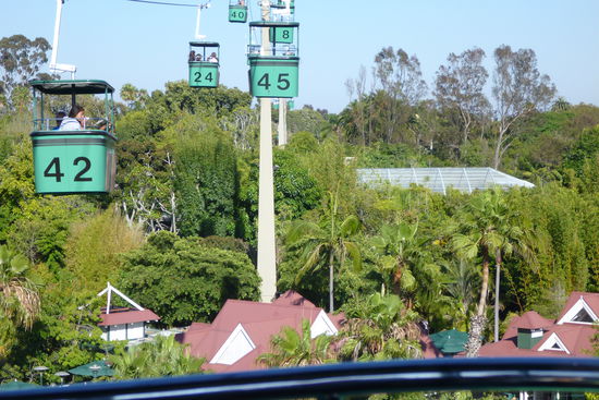 Der Zoo von oben. Da dies extra bezahlt werden musste und wir praktisch über den Zoo flogen haben wir mit einer Tour vorlieb genommen.