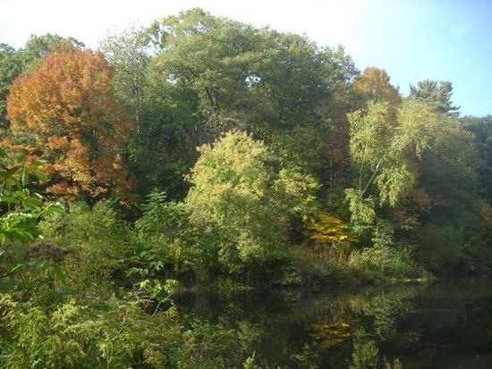 Highpark mitten in Toronto