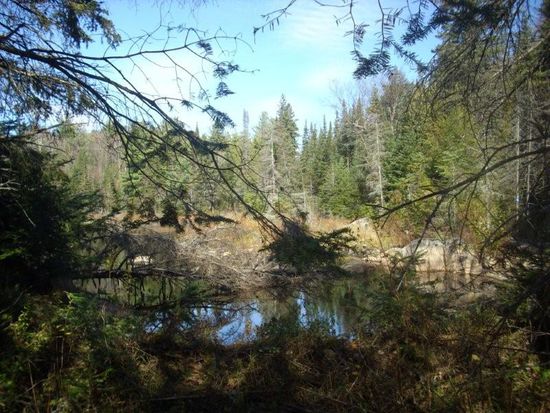 Algonquinpark....Naturschutzgebiet ohne Tiere...im Wasser gibt es übrigens auch irgendwie kein Leben!