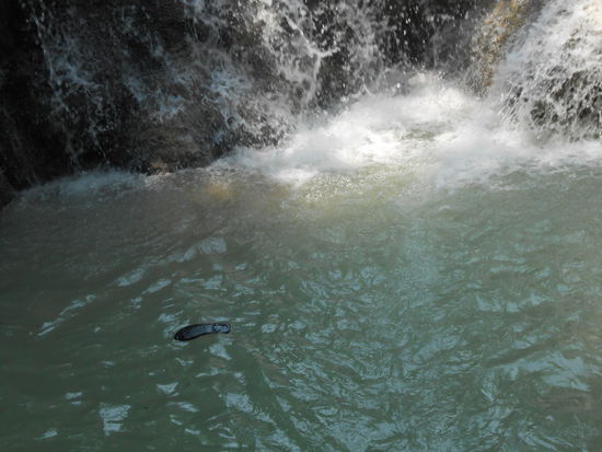 Was schwimmt denn hier rum??? Ach genau, der Flip Flop von Simone..., aber keine Angst..., der Markus hilft SOFORT... Er macht dieses