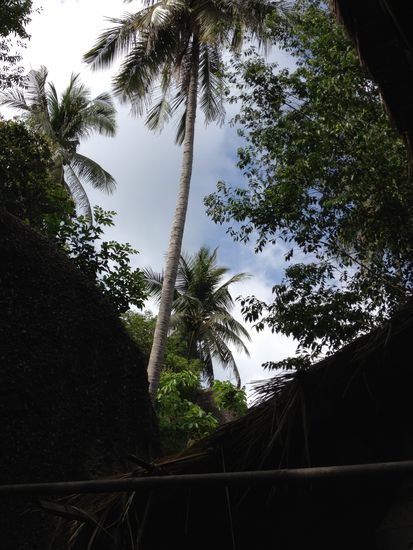 Ausblick beim Duschen