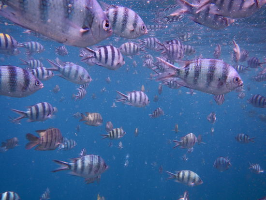 Huch...Hier ist ja mehr los als auf der Autobahn.
