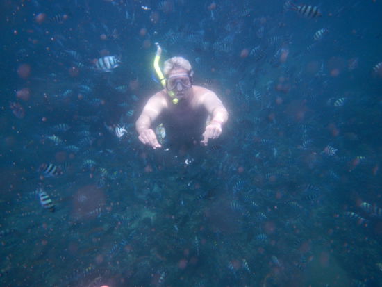 Da kommt noch ein großer Fisch an...