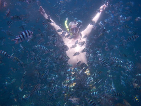 Jetzt sehe ich den Fisch vor lauter Fische nicht mehr oder ging der Spruch mit dem "Wald und Bäumen" so?