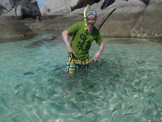 Sogar im knietiefen Wasser kommen die Fischlis zu mir