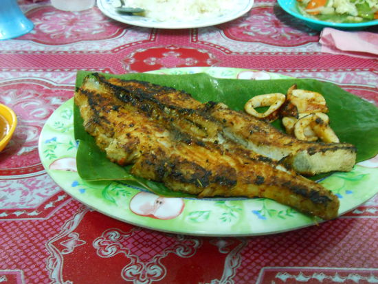 Red Snapper und Squids... Einer von 8 Tellern