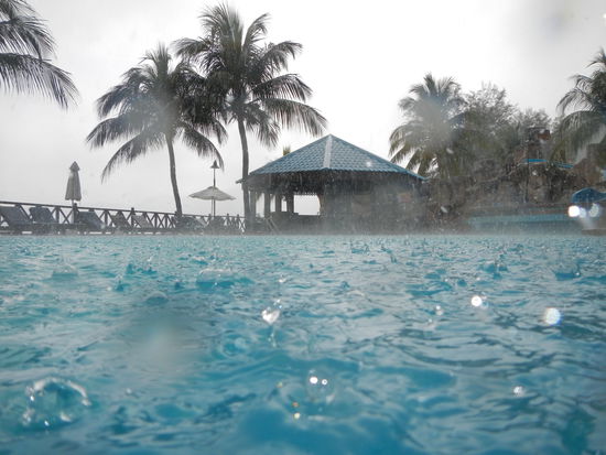 Geniale Aufnahmen von Georg...